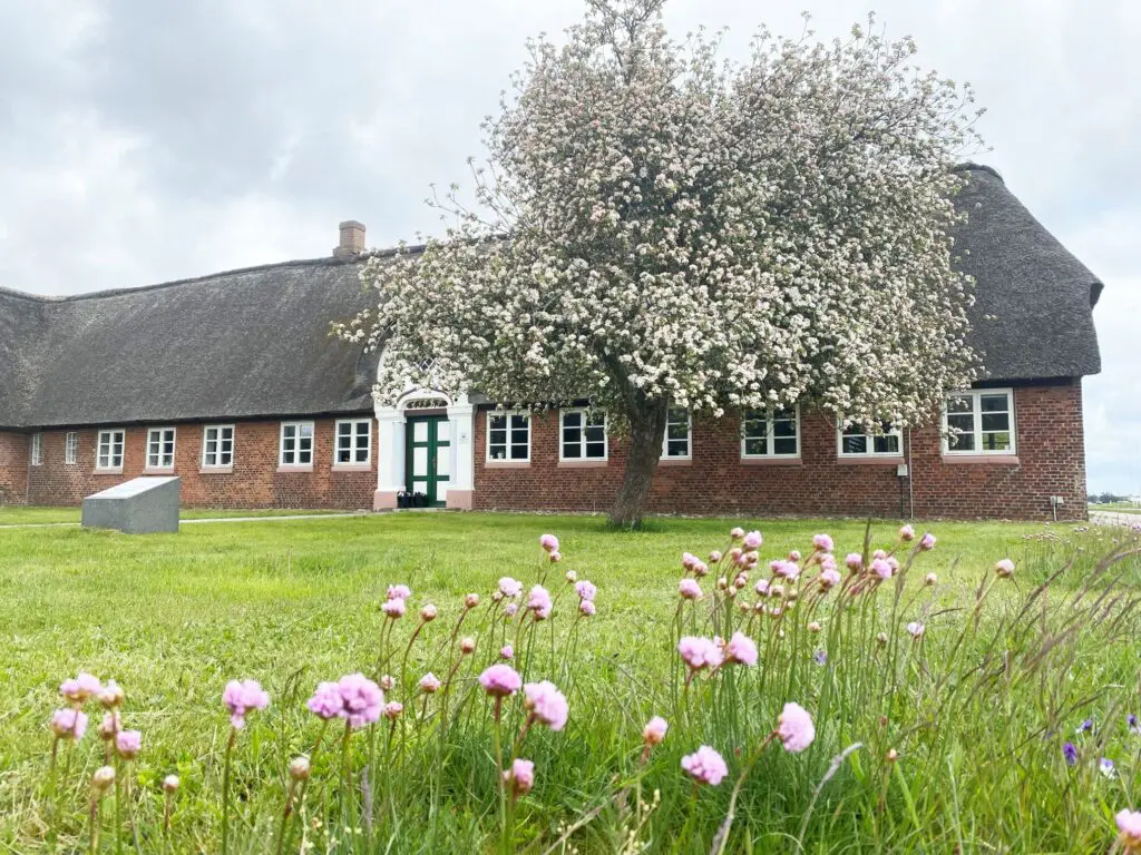 Naturcenter Tønnisgård Foto: Bente K. Bjerrum, Tønnisgård